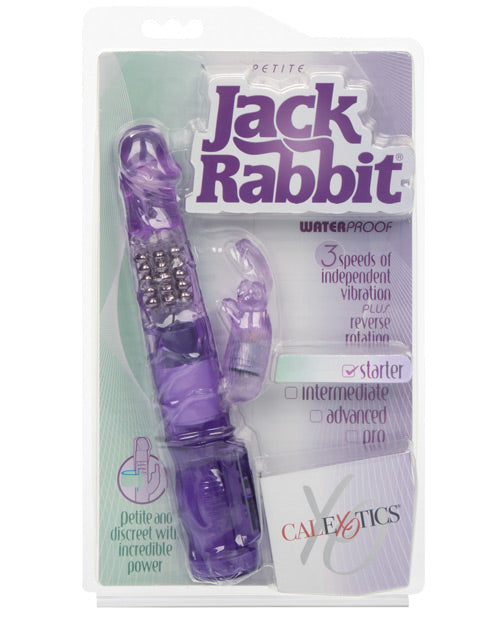 Petite Jack Rabbit Purple
