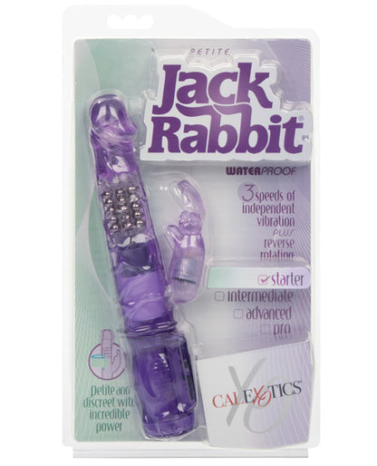 Petite Jack Rabbit Purple