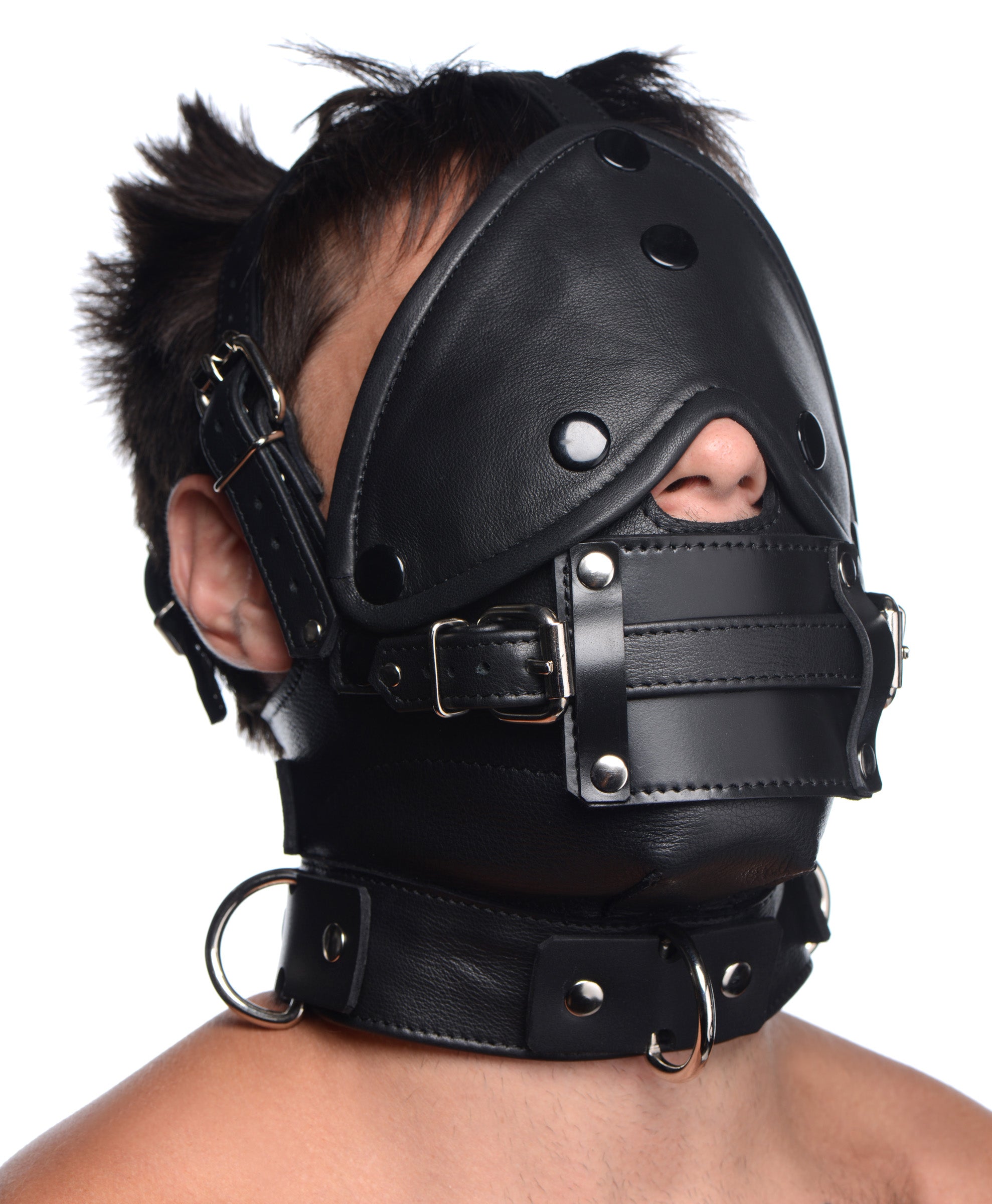 Leather Head Harness With Removeable Gag