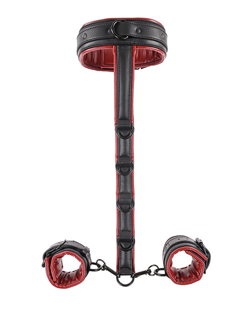 Saffron Neck &amp; Wrist Restraint