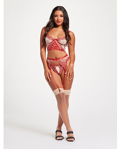 Sheer Stretch Mesh W/floral Contrast Embroidery Bustier, Garter Belt &amp; Thong Red/nude